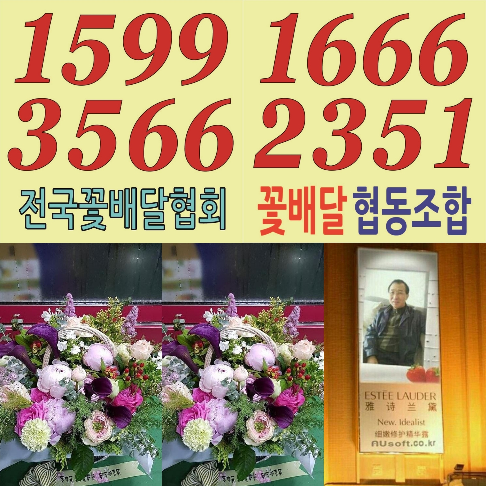15285646034300.jpg